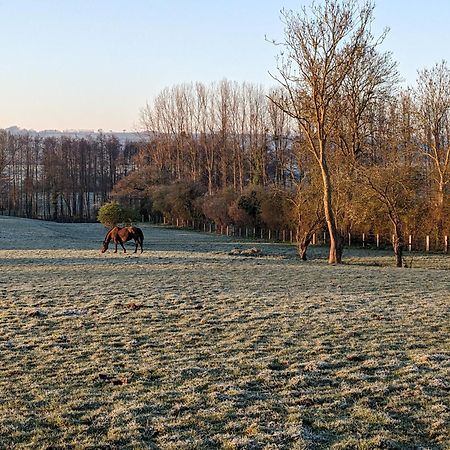 Hotel Le Haras D Havetot Anctoville Exteriér fotografie